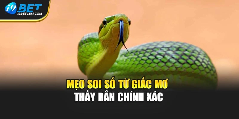 Mẹo soi số từ giấc mơ thấy rắn chính xác