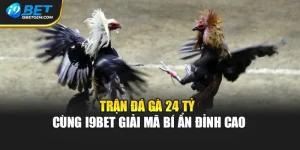 Trận Đá Gà 24 Tỷ - Cùng I9bet Giải Mã Bí Ẩn Đỉnh Cao