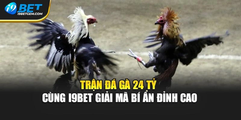 Trận Đá Gà 24 Tỷ - Cùng I9bet Giải Mã Bí Ẩn Đỉnh Cao